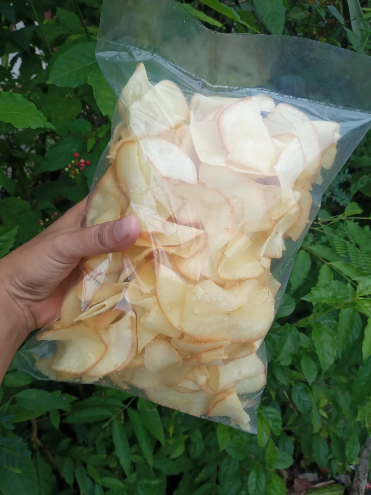Keripik Asin.jpeg