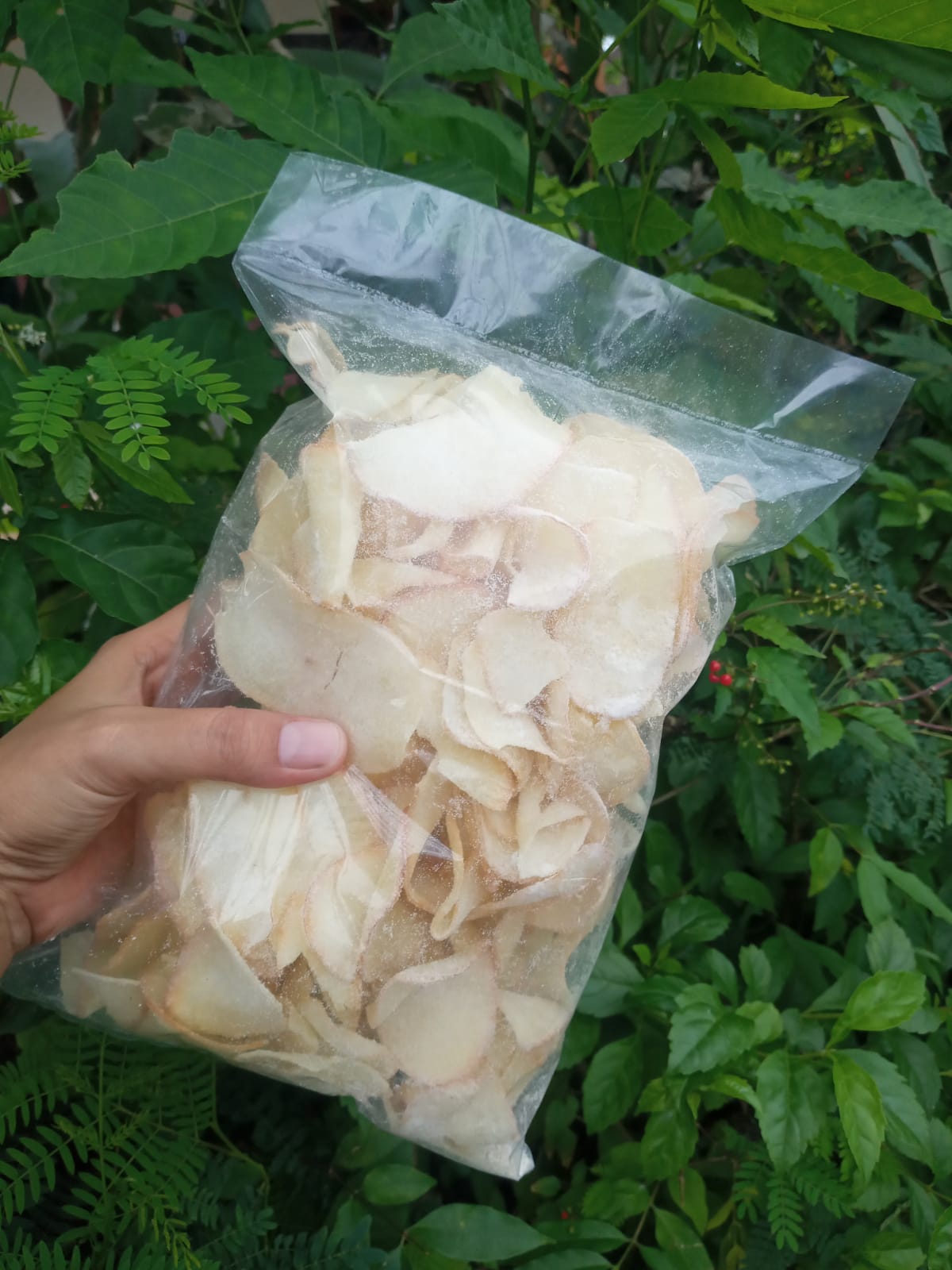 Keripik Manis.jpeg